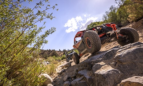Big Bear UTV Experience Cactus Flats Tour