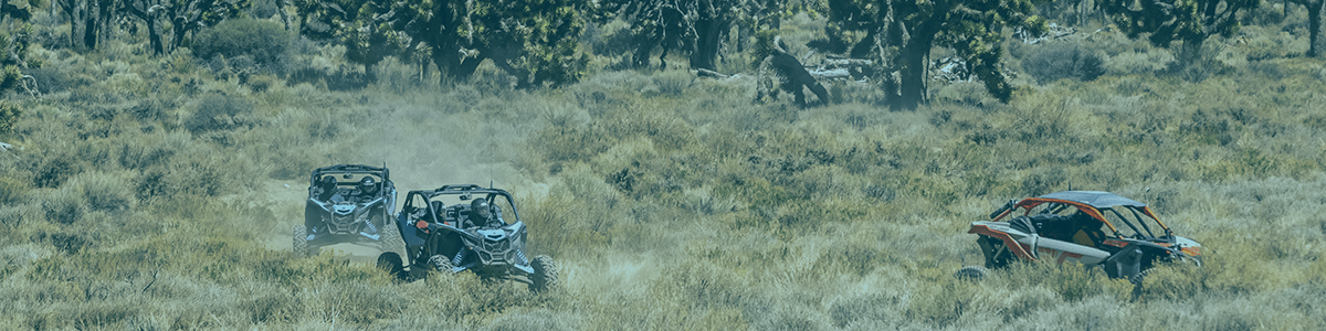 Can-Am caravan through Yucca Trees